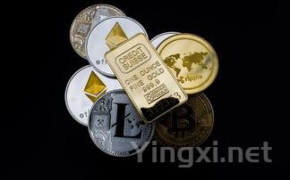 葡萄酒初学者必知:九个核心术语大揭秘