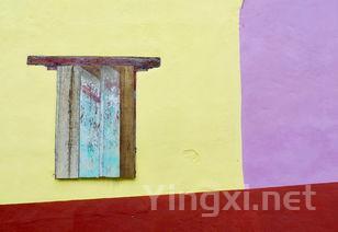 揭秘葡萄酒色彩之奥秘：自然与工艺的交响