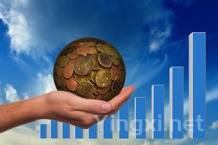 葡萄酒新风尚解读：潮流趋势大揭秘