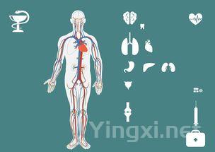 玛氏酒庄:阿布鲁佐葡萄酒变革的领军者