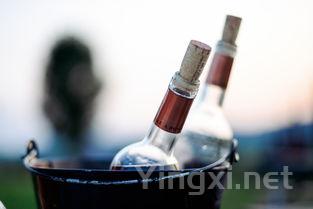 橡木味葡萄酒：高端品质的标志还是口味偏好？