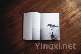 走出葡萄酒误区：品味生活的艺术