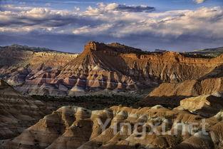 进口葡萄酒：繁荣背后藏虚火 标价混乱真伪难分