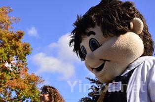 纳帕谷之旅：五个你可能不知道的小秘密