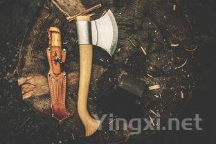 “软木塞”的奥秘，你探寻过了吗？