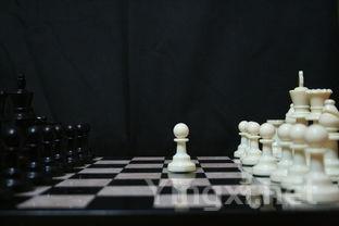 黑比诺：高贵挑剔，酿酒师的专属挑战