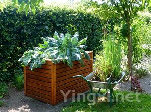 葡萄园里的较量:种植高手的较量