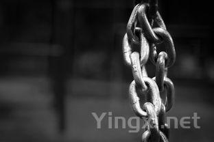 酿酒技术革新：传统手法与现代工艺的精彩对话