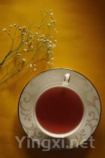 2016年意大利顶级酒庄面积榜单揭晓，安东尼世家独占鳌头