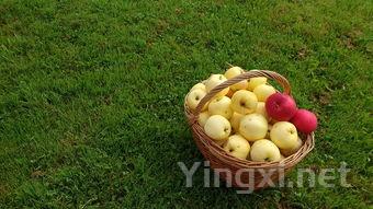 养生新选择：红酒炖苹果温暖整个冬季