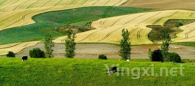 波尔多35个子产区，一网打尽全解析！