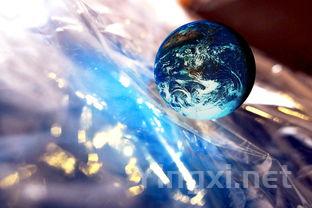 白酒业投资潜力无限,五粮液茅台等企业值得关注