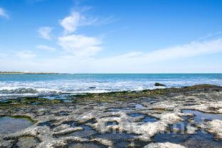 意大利海岸线旁,超三成葡萄酒产区坐落