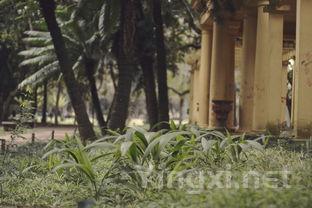 罗纳河谷：法国葡萄园的古老传奇之地