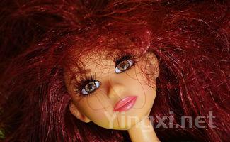 美国小镇遭遇“威士忌真菌”入侵，酒厂巨头被告