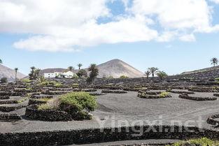 火山之巅的葡萄奇迹：Regaleali酒庄探秘之旅