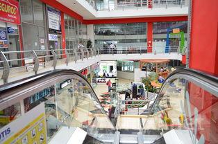 乐朗葡萄酒闪耀糖酒会，品牌招商力拔头筹