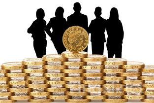 警惕葡萄酒投资市场潜在风险