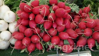 嘉兴前两月葡萄酒进口实现历史性跨越