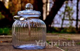 冬日葡萄酒如何存？南北攻略助你无忧