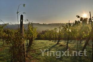 致敬酒业楷模,华夏奖见证荣耀时刻!