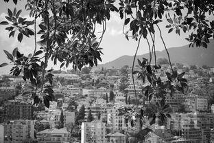 意大利之韵：阿克莱Arcole DOC法国葡萄佳作