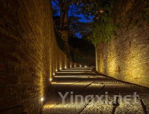 遗忘的葡萄宝藏:意学者揭开历史面纱