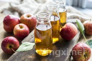 茅台之韵：探秘中国白酒技术的巅峰之作