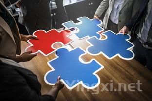 意大利葡萄酒:文化拼图的魅力与挑战中的合作伙伴寻觅