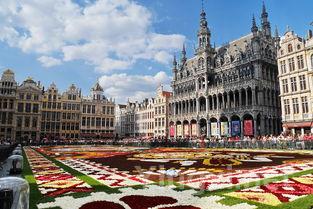 阿玛罗奈Amarone：投资界的新热门之选