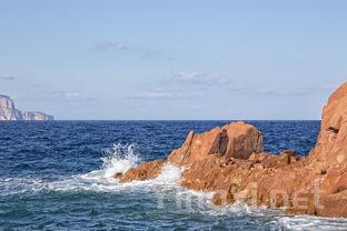 化学视角解锁葡萄酒的奥秘与风味
