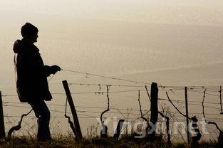 进口葡萄酒市场新动态：三大意酒商解读2019