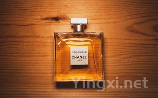 解锁葡萄酒：为年轻人打造的品鉴新风尚