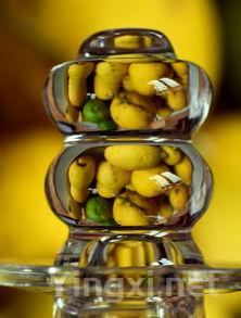 意大利葡萄酒标评选：美丽与艺术完美融合前十名