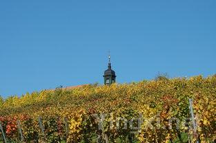 意大利葡萄酒探秘：产区与葡萄园深度游