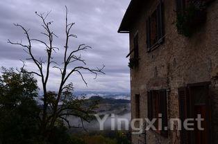 巴罗萨谷西拉虽好,却难与库纳瓦拉赤霞珠争锋