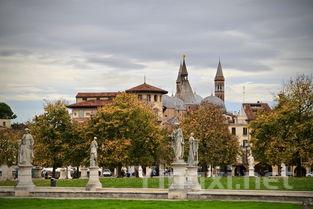 巴西利卡塔大区：葡萄酒的瑰丽瑰宝解析
