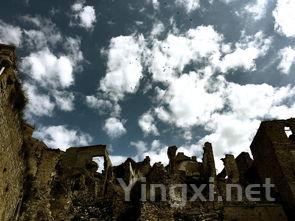 探索巴西利卡塔大区：葡萄酒风味之旅