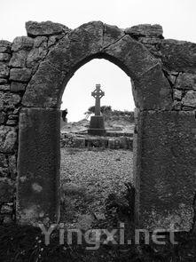 波兰酒文化：历史沉淀与民族情感