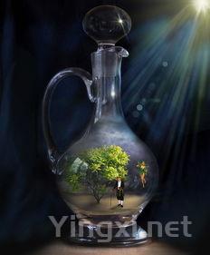 国产威士忌崛起，有望成为新“阳光玫瑰”？