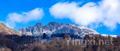 意大利酒业新动态：探寻未来增长引擎