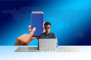 洋河星得斯520再掀热潮：消费者心弦被拨动