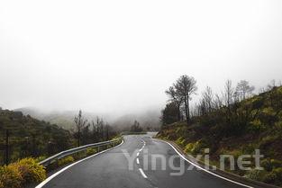 白酒国内市场称霸 国际化道路仍需努力