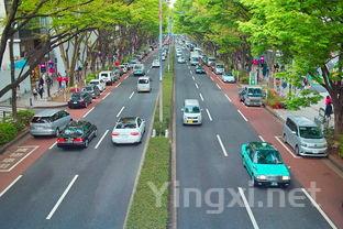 白酒国内市场称霸 国际化道路仍需努力