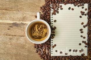 “有机葡萄酒”为何如此热门？专家为你解读