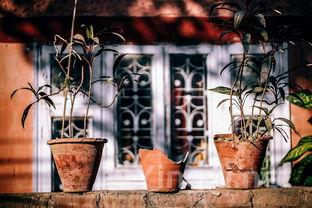 饮酒后这两个现象频发,不适合再碰酒杯