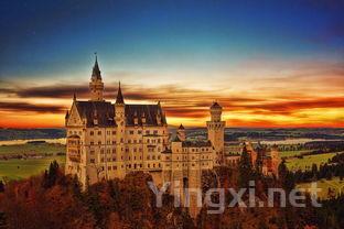 低酒精度葡萄酒受欢迎:英国市场需求飙升