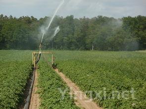 甘肃葡萄酒市场不正当竞争案火热开庭
