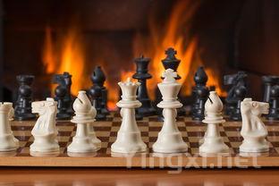 国内外酒市对比:中国葡萄酒与洋酒竞争时机洞察