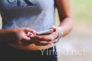 无中文标签洋酒，消费者请谨慎选择